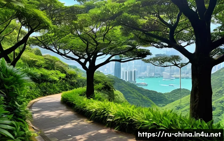 중국 홍콩 빅토리아 피크 관련 이미지 2